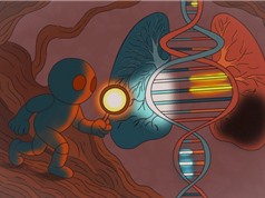  AI giúp xác định bộ gene gây ra các bệnh phức tạp